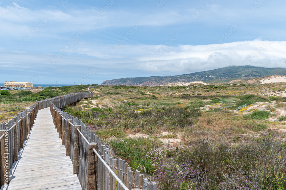 Fototapeta premium Rundweg in der Wanderdüne Duna da Cresmina, Portugal