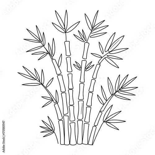 A bamboo tree illustration vector style coloring page 