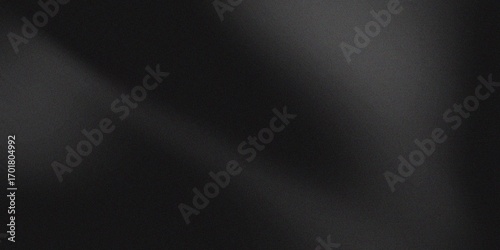 Rough noise texture on dark black background.