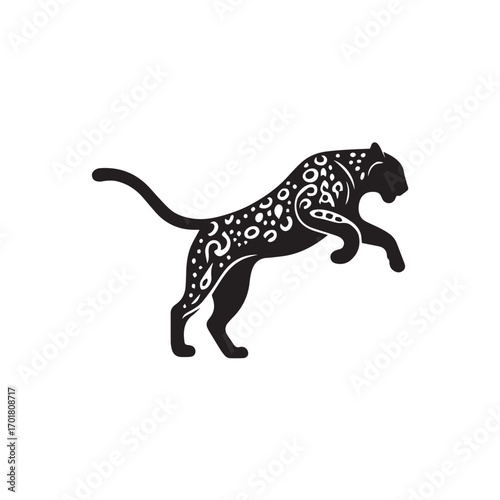 leopard on white background