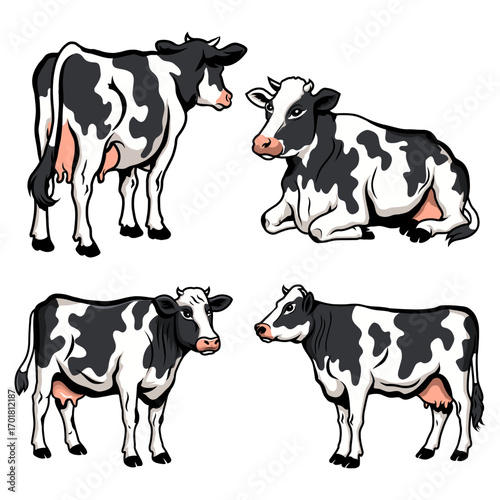 Colorful Dairy Cow Vector Illustration Set