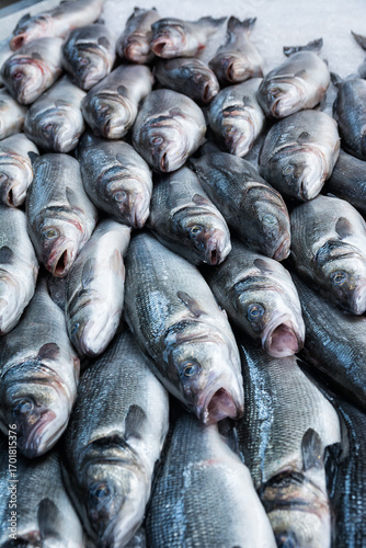 Fresh fish displayed on market stand for sale