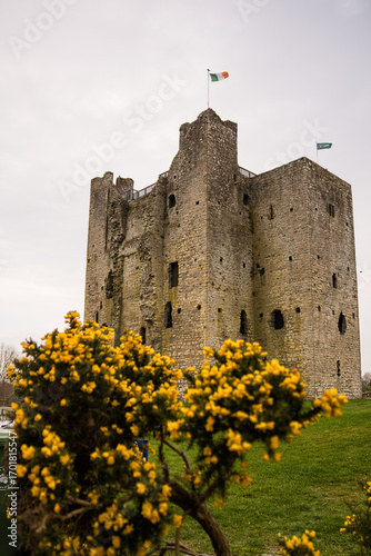 Trim Castle with clouds over green grass and yellow flowers