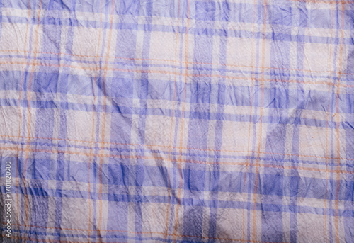 Close-up of a blue and white checkered fabric texture.