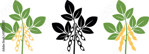 Soybean plant. Isolated soybean plant on white background
