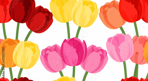 Vibrant Tulips In Full Bloom For Spring Celebration