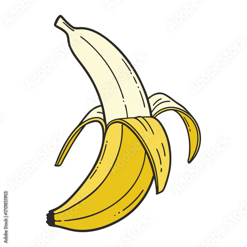 Two peeled bananas, one large and one small, on white background fruit yellow