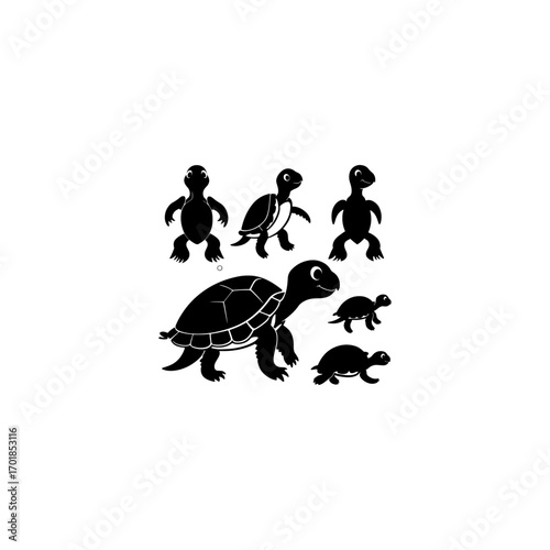 
Black and white silhouettes of turtles of various sizes on white background tortoise reptile 