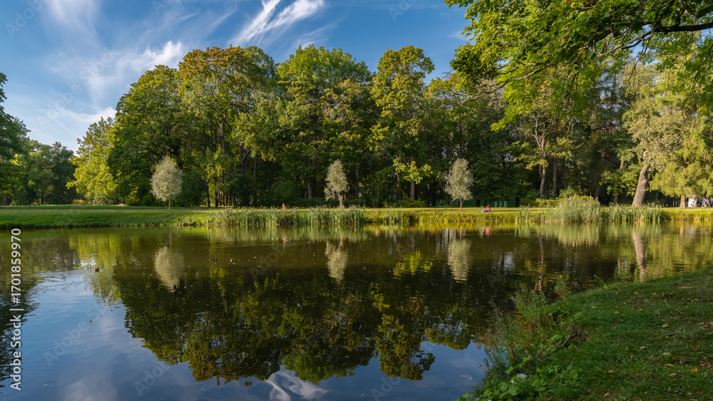 Fototapeta premium Beautiful landscape in Alexander Park of Tsarskoe Selo, Pushkin, Saint Petersburg, Russia