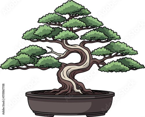 Cartoon Bonsai Tree Illustration