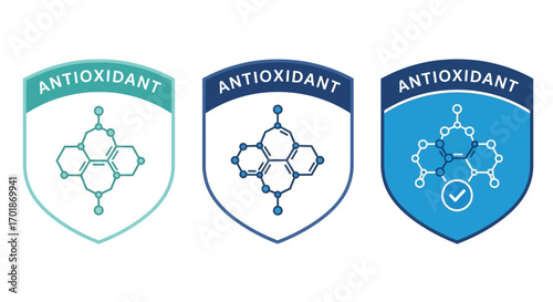 Understanding Antioxidant Molecules and Their Protective Cellular Defense Mechanisms Against Oxidative Stress for Enhanced Health and Well-being