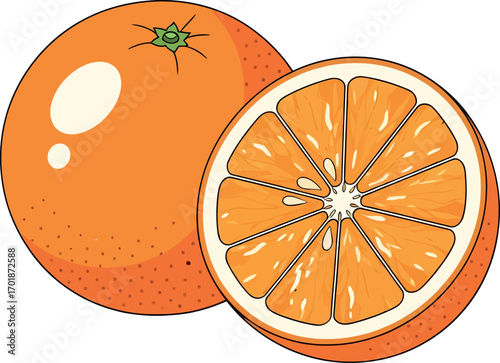 Orange Fruit Illustration