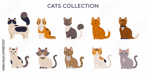 Collection of diverse cartoon cats with different fur patterns and colors sitting and standing