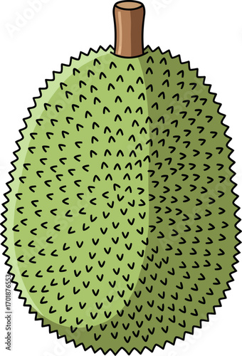 Durian Fruit Illustration