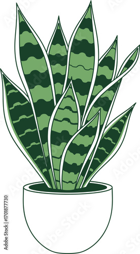 Snake Plant in Pot - Line Art Illustration