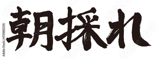 手書きの筆文字で書いた横書きの「朝採れ」