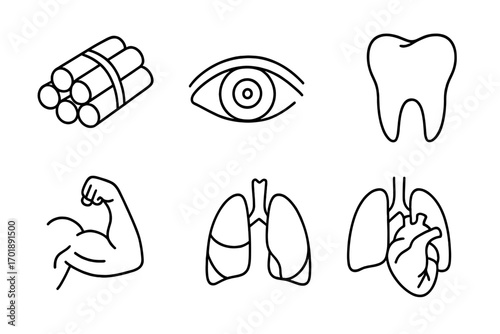 Human body anatomy icon set. Medical and health symbols collection. Eye, tooth, muscle, lungs, heart organs. Thin line art vector illustration for web and apps.