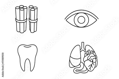 Human anatomy icon set with editable strokes. Thin line art collection of eye, tooth, muscle fibers, and internal organs like heart and lungs. Medical and biology symbols.