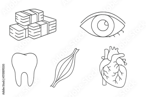 Health care cost concept. Medical expenses icon set. Money, eye, tooth, muscle, heart line icons. Valuing health. Price of treatment, surgery and insurance metaphor.