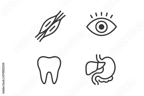 Human organs and anatomy icon set. Medical line art pictograms collection with eye, tooth, muscle fiber, and digestive system. Vector illustration for biology, app, and health.
