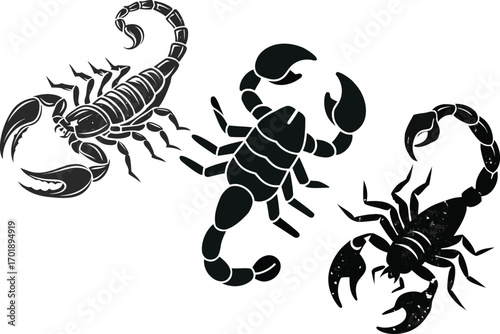 Three black scorpions in different poses on white background arachnid insect