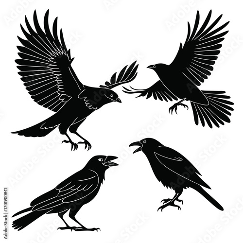 Four black silhouette crows in various poses including flying and perched