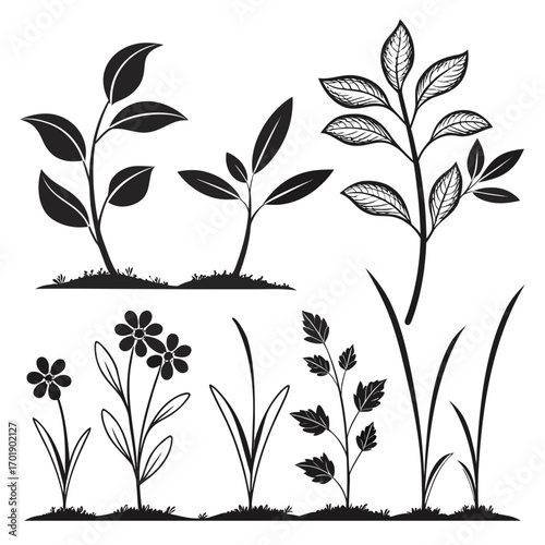 Collection of black and white silhouette illustrations of various plants and flowers growing in soil