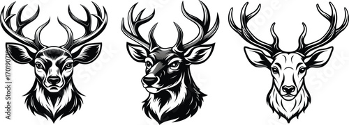 Three black and white deer heads with antlers stag wildlife