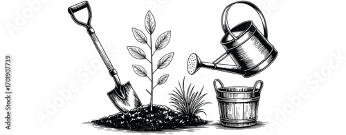 Hand drawn illustration of gardening tools and a young plant