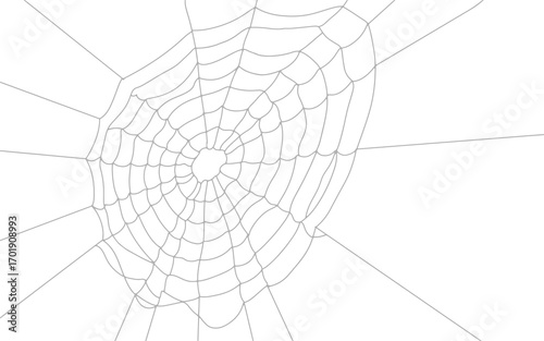 Realistic round spider web pattern design, cobweb overlay on transparent background.