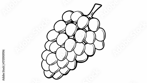 Illustration of a bunch of grapes with a stem in black and white outline style drawing for coloring book art created with generated ai 