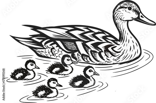 Black and white illustration of a mother duck and three ducklings swimming animal bird