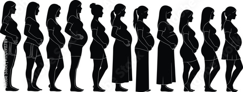 Pregnant women silhouette vector illustration showing different stages of pregnancy, motherhood, prenatal development, body changes, pregnancy journey, health, and family care concept
