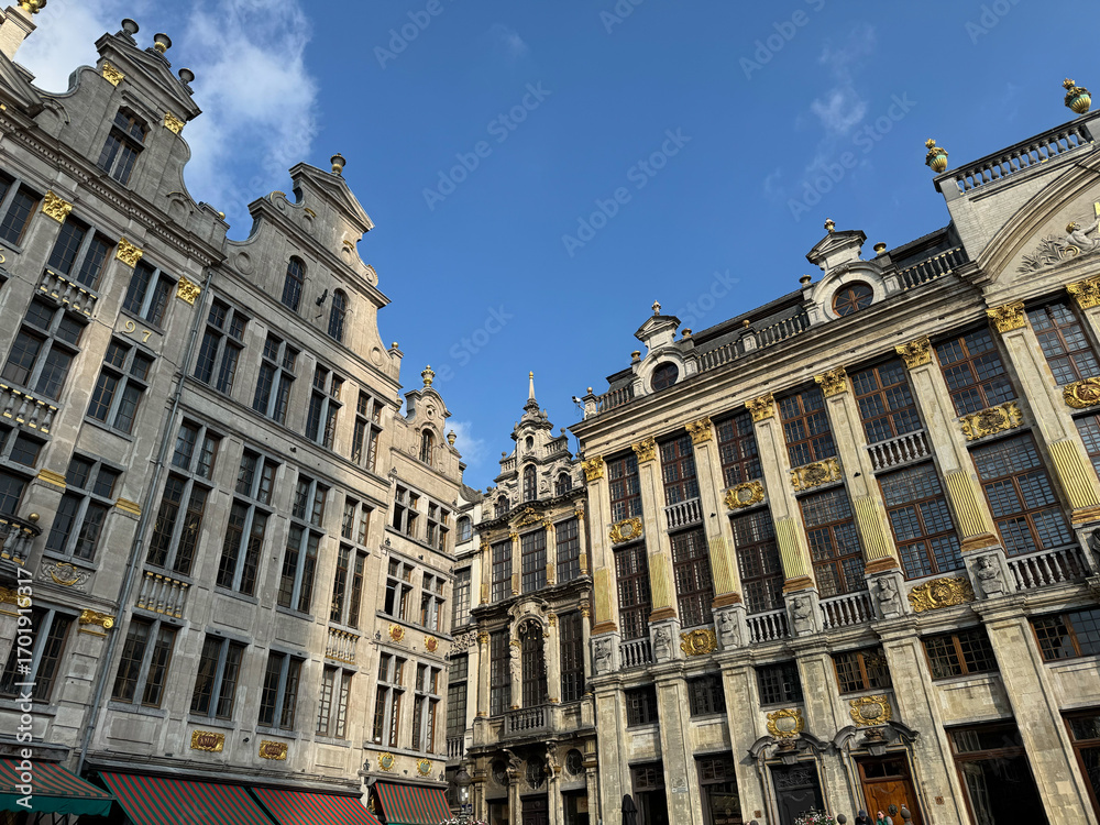 Fototapeta premium Gildenhäuser am Grand Place in Brüssel, Belgien