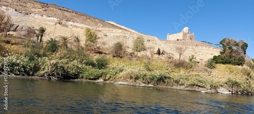 Scenic Riverbank on the Nile River, Aswan, A peaceful view from a boat on the Nile River, showing a lush, green riverbank contrasting with a barren, rocky hillside in the background.