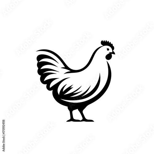 Colorful Hen Vector Illustration – Farmyard Poultry Artwork