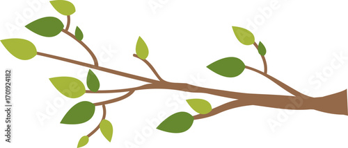 Tree Branch with Leaves 