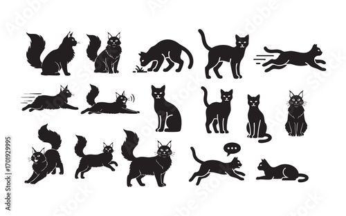 A black vector silhouette collection of cats for design illustrations