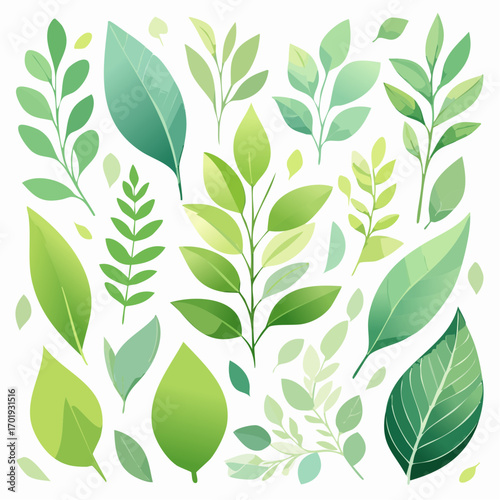 Eine Serie organischer Blatt- und Pflanzenillustrationen