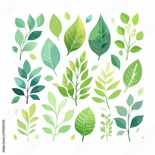 Eine Serie organischer Blatt- und Pflanzenillustrationen
