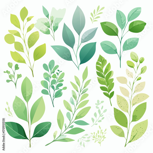 Eine Serie organischer Blatt- und Pflanzenillustrationen