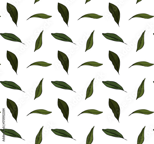 Silhouettes of leaves olive seamless pattern. Vector graphic line ink colored illustration. Silhouette sign for logo, print, comics, fashion, pop art, boards, design, stickers, decoration, posters
