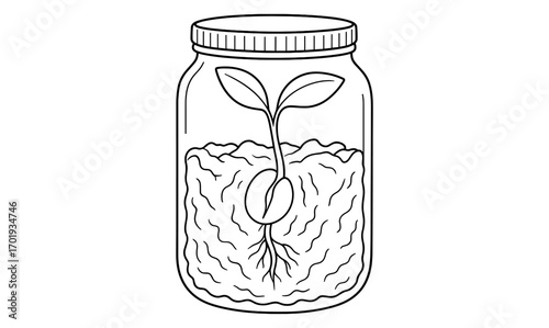 Seed sprouting experiment illustration in jar for educational and botanical design