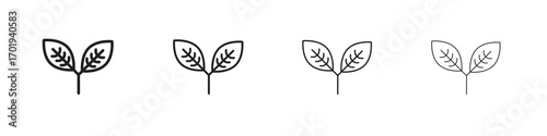 Leaf icons. thin line symbols in strokes