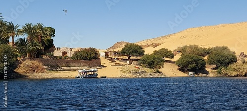 Scenic Riverbank on the Nile River, Aswan, A peaceful view from a boat on the Nile River, showing a lush, green riverbank contrasting with a barren, rocky hillside in the background.