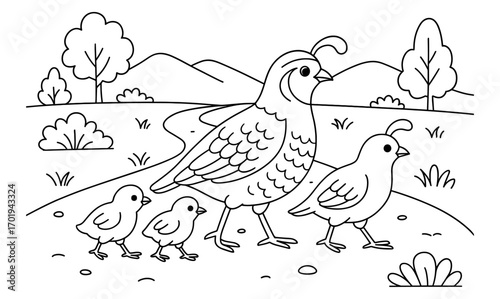 Quail family crossing illustration in nature scene for coloring book design