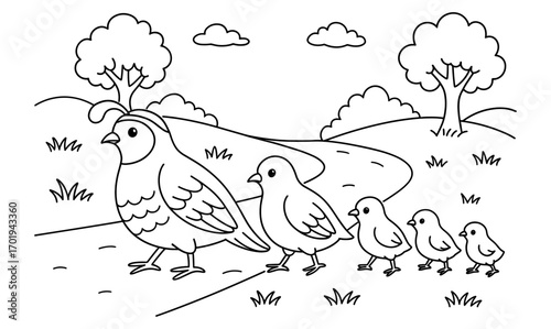 Quail family crossing in nature scene - black and white line art for educational coloring book
