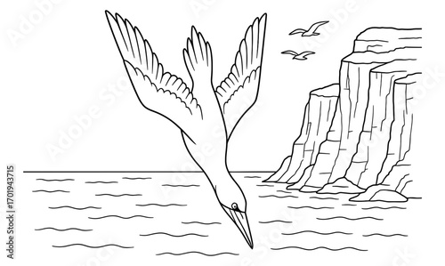 Gannet diving adventure by cliffs of the sea - simple black and white illustration for nature and wildlife enthusiasts