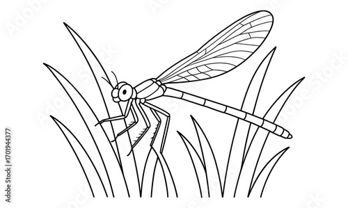 Damselfly on grass line art illustration for nature and insect enthusiasts