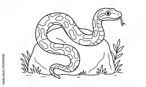 Boa constrictor outline illustration for nature and wildlife education